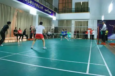 维尼修斯 维尼修斯