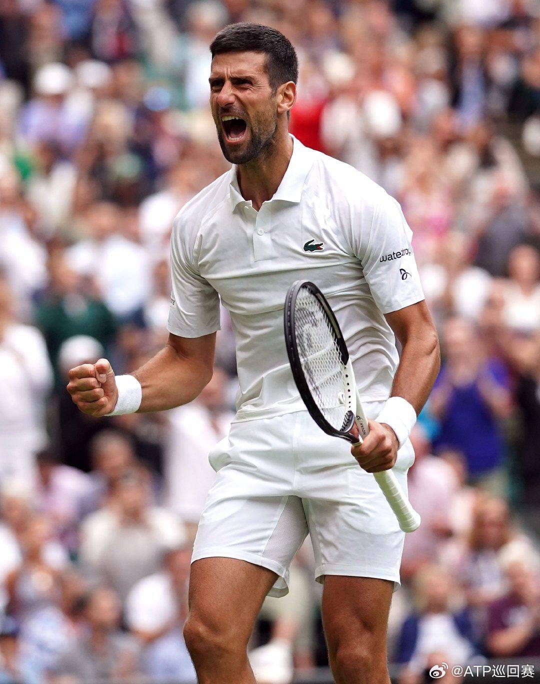 以下是热刺 以下是热刺