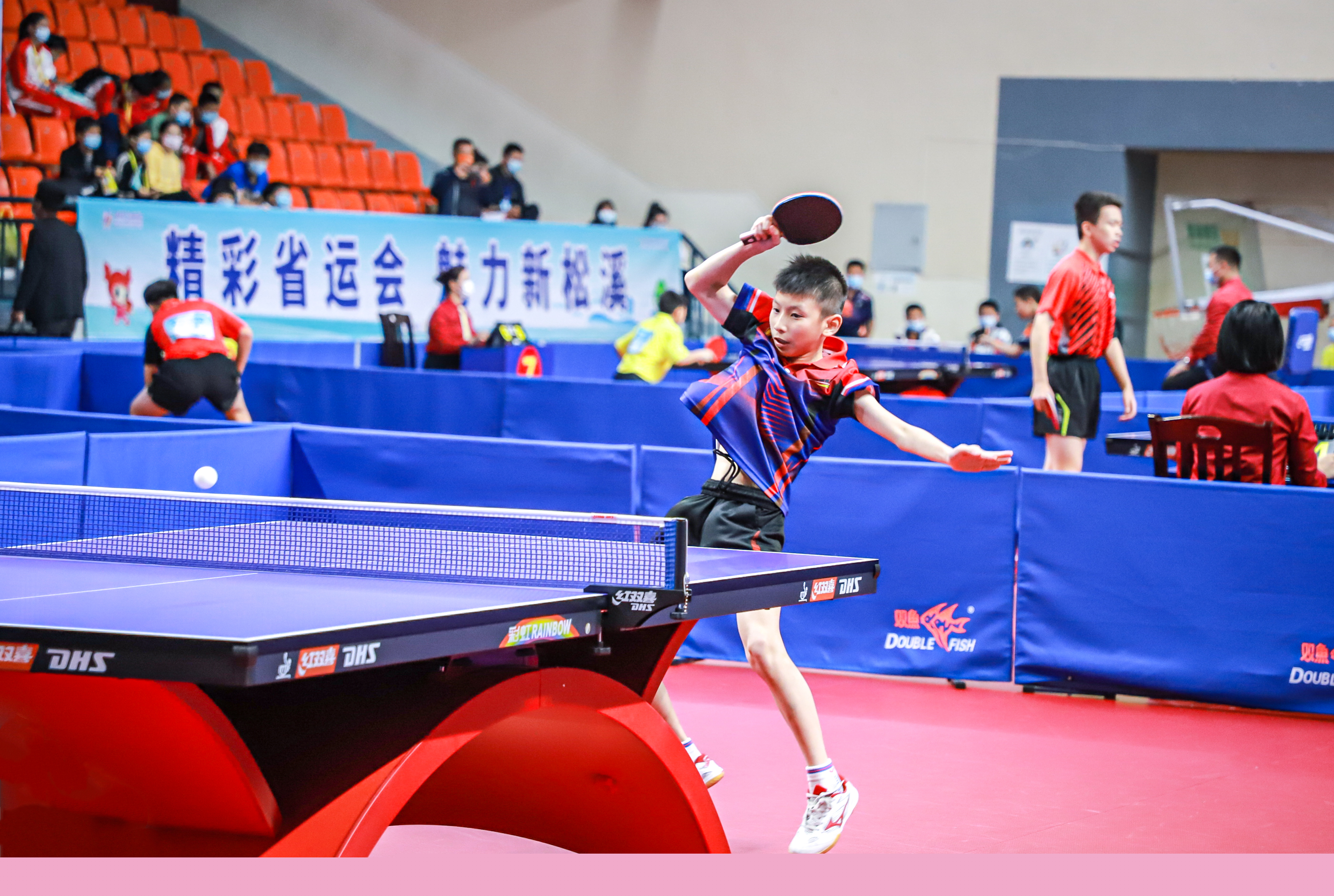 无数次入选 无数次入选