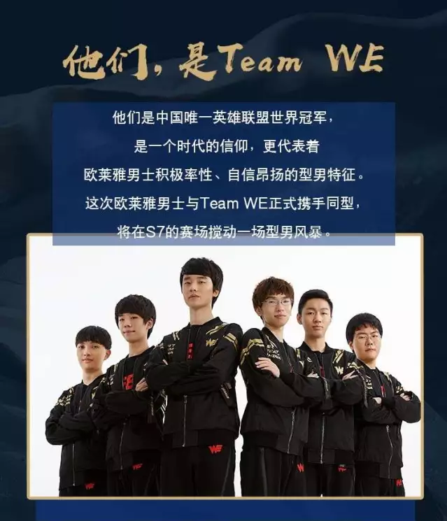 荷甲与欧战 荷甲与欧战