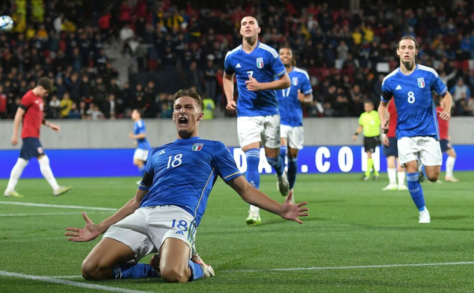 场选择把握 场选择把握